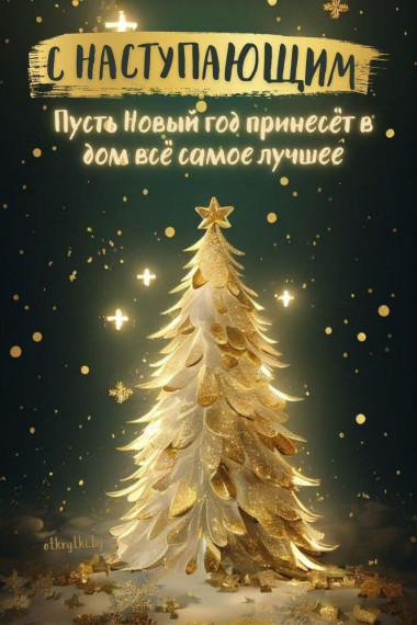 С наступающим Новым Годом!.